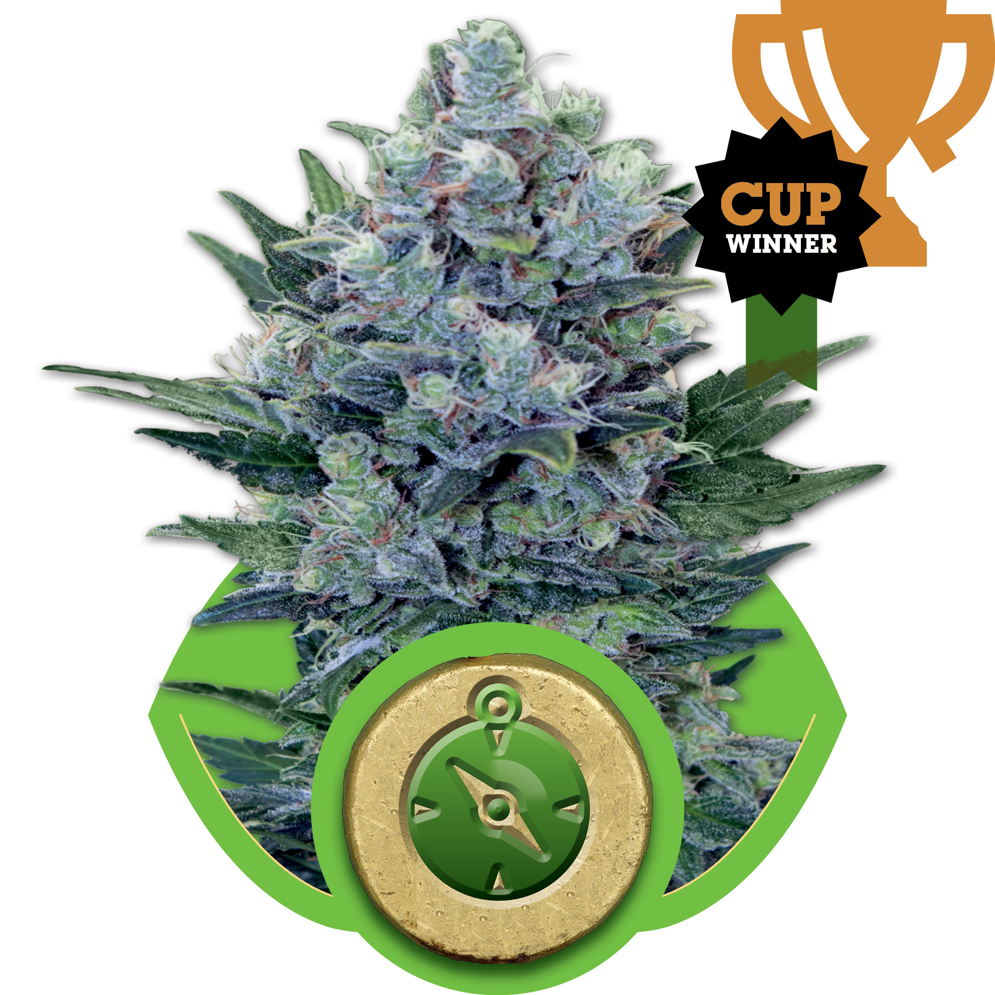 Northern Light Auto Feminised Seeds - 5
