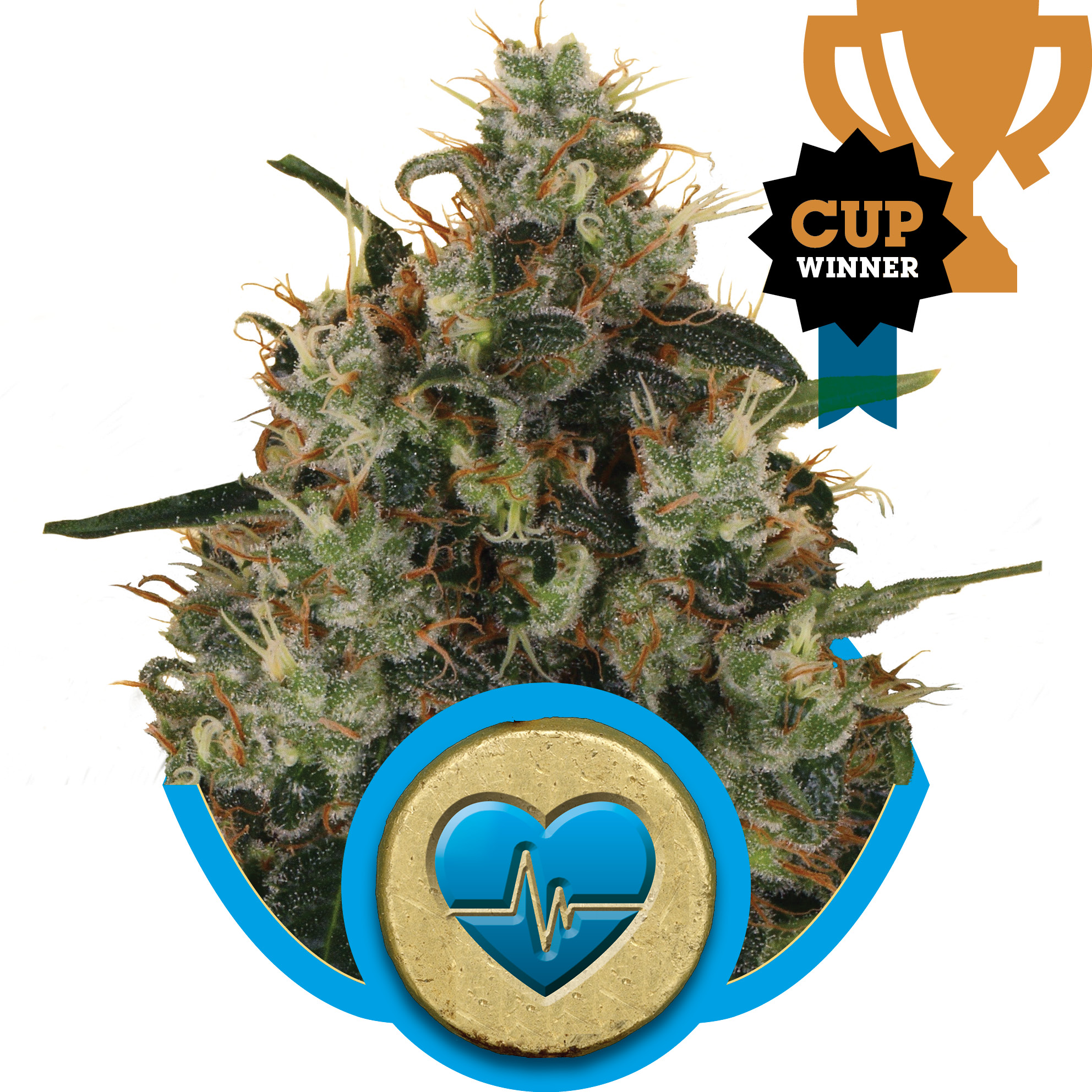 Medical Mass CBD Feminised Seeds - 5