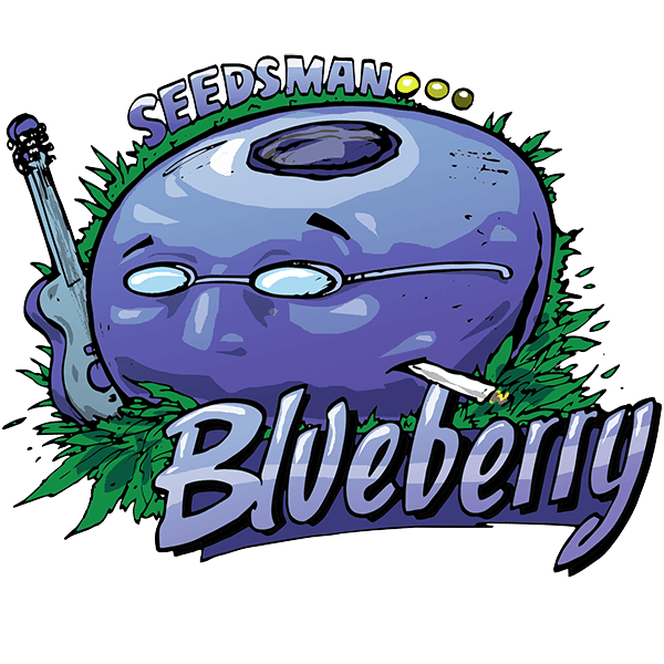 Blueberry Feminised Seeds - 3