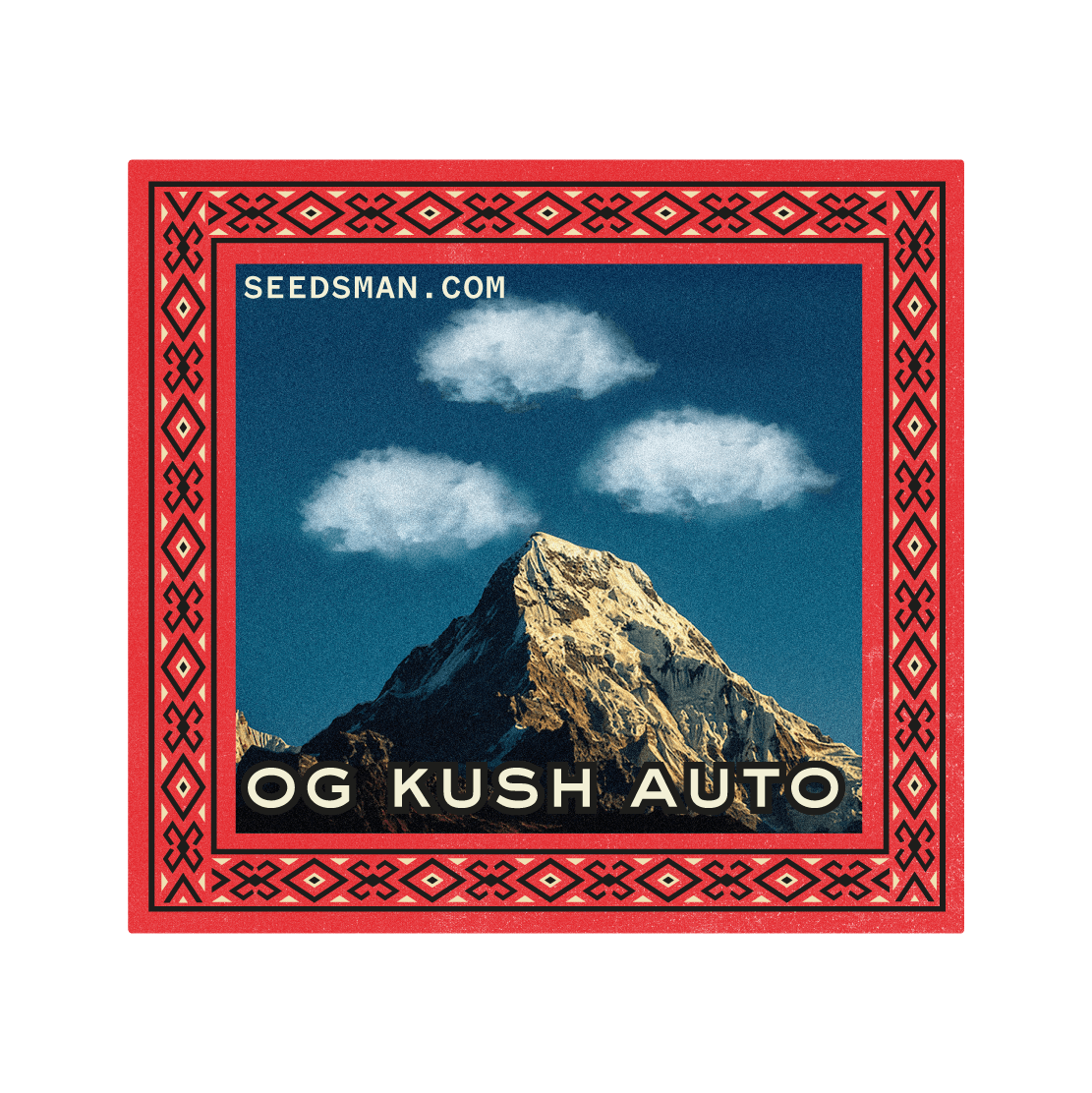 OG Kush Auto Feminised Seeds - 50
