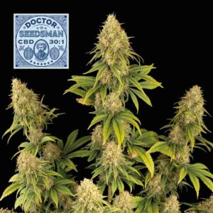 Doctor Seedsman CBD 30:1 Feminised Seeds - 50