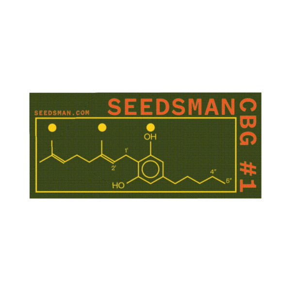 Seedsman CBG #1 Feminised Seeds - 5