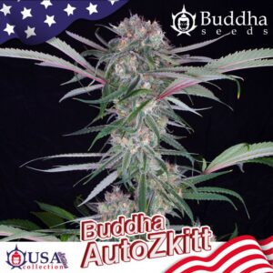 Buddha Zkittlez Auto Feminised Seeds - 10