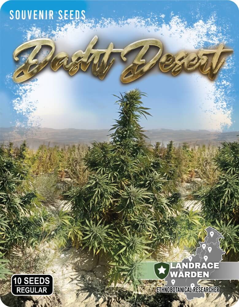 Dasht Desert Regular Seeds - 5