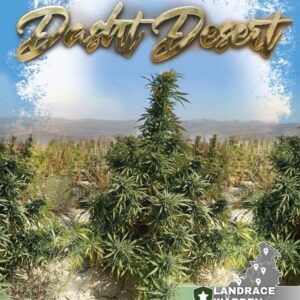 Dasht Desert Regular Seeds - 10