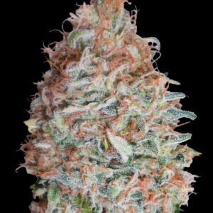 Banana Cookies Feminised Seeds - 5