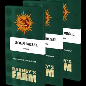 Sour Diesel Feminised Seeds - 5