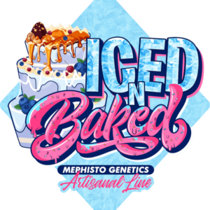 Iced 'n' Baked Auto Feminised Seeds - 3