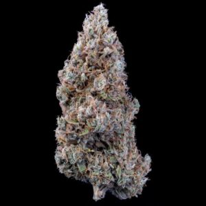 Crème Bubbly Auto Feminised Seeds - 3