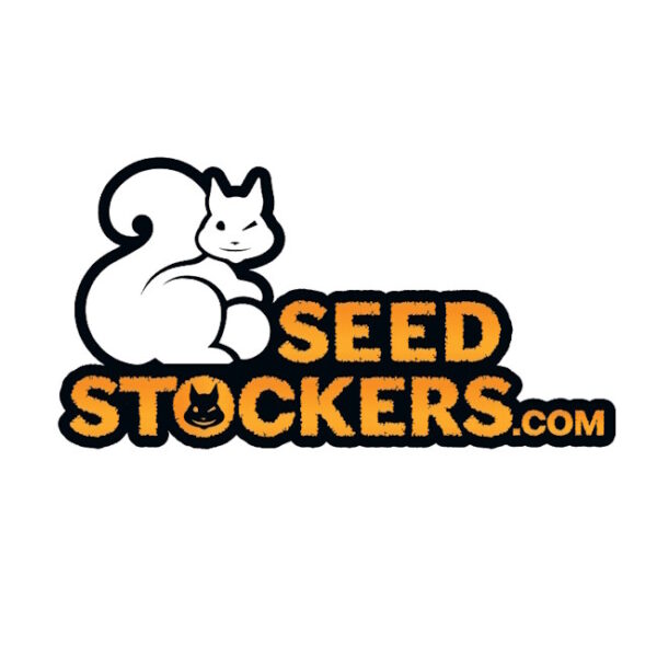 Terp & Tonic Auto Feminised Seeds - 3