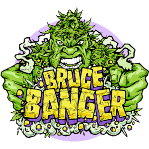 Bruce Banger Fast Feminised Seeds - 3