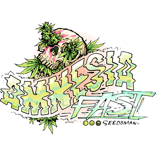 Amnesia Fast Feminised Seeds - 3